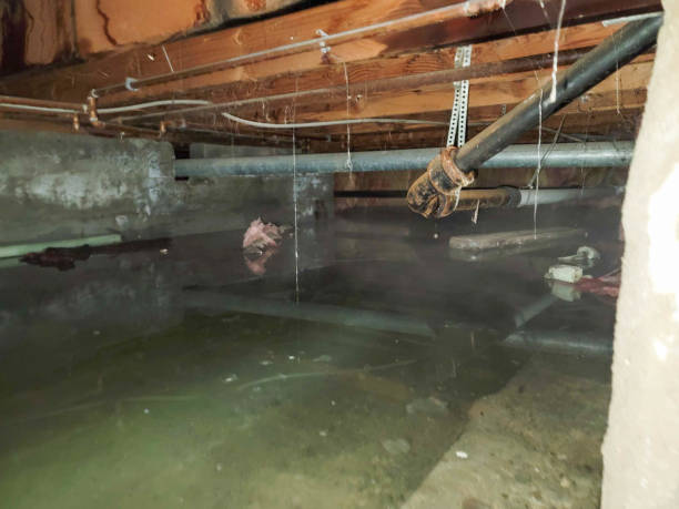 , WY Water damage restoration Company