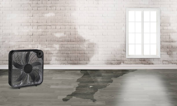 Best 24-hour water damage restoration  in Rawlins, WY