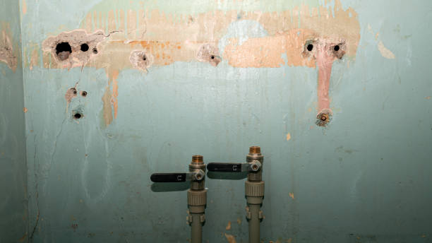Best Local water damage restoration  in Rawlins, WY