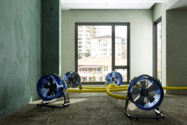 Best Water damage restoration near me  in Rawlins, WY