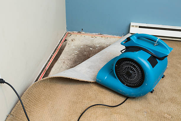 Best Sewage cleanup and water damage restoration  in Rawlins, WY